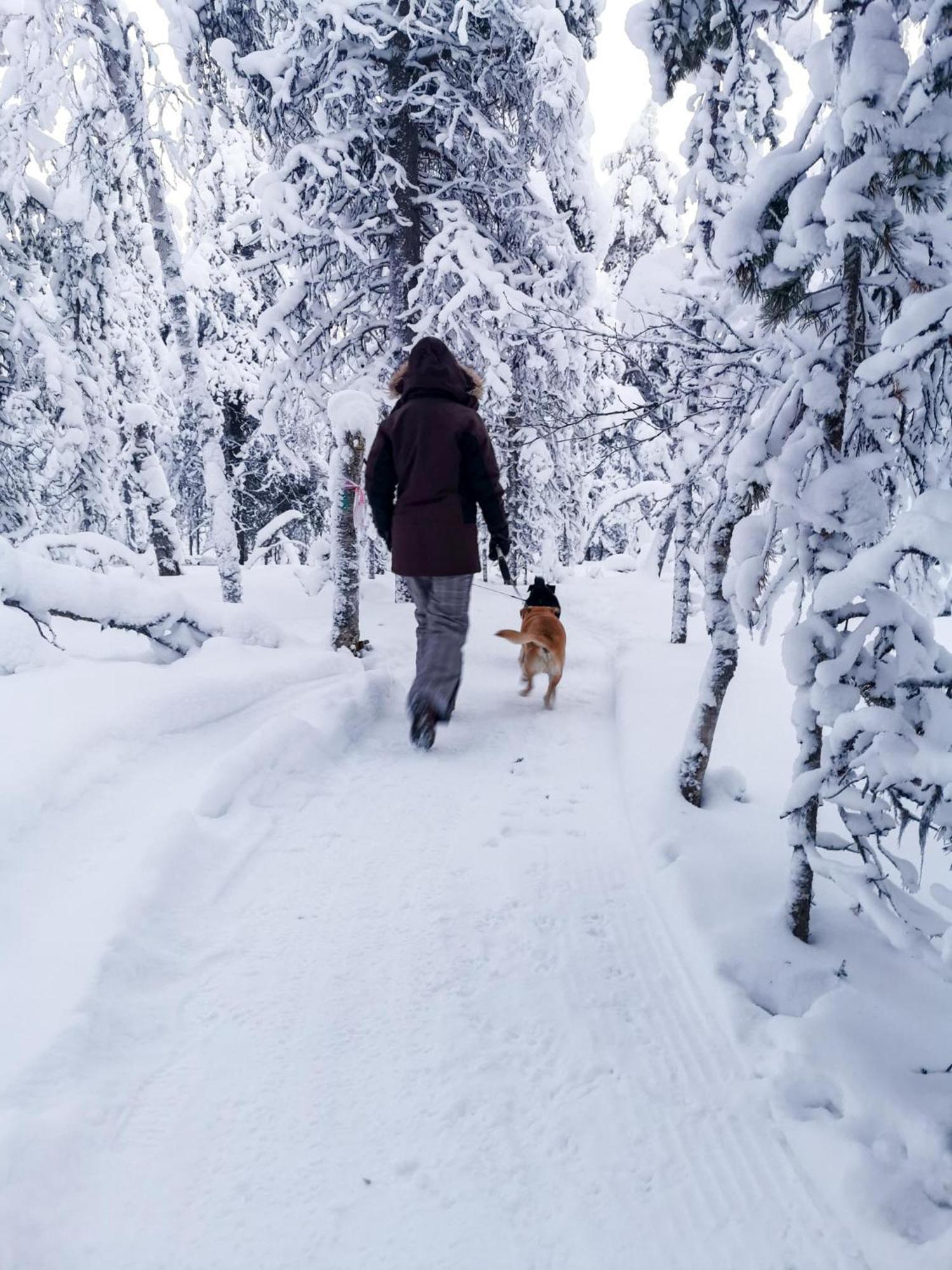 Ferienwohnung Luttotupa Saariselkä Exterior foto